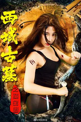 【剧情片】西域古墓之藏宝图