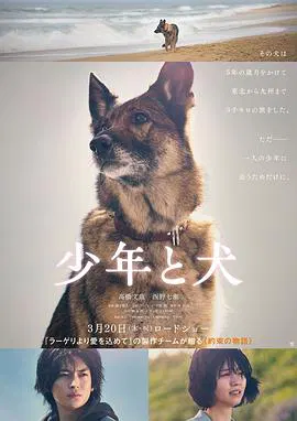 【剧情片】少年与犬